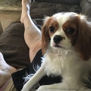 Meet your Posher, Stephen karen